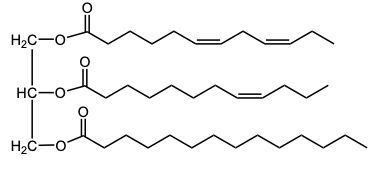 triacylglycerol
