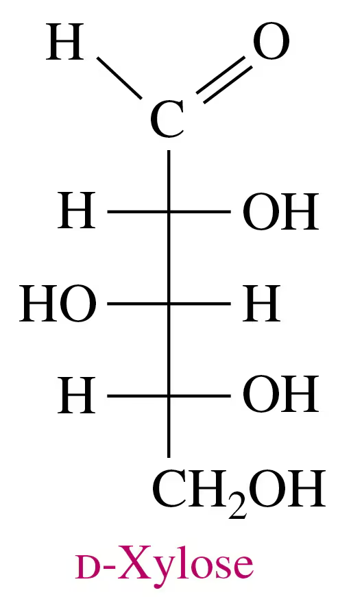 Fischer projection of D-xylose showing its oxidation and reduction products, with labels for sugar acid and sugar alcohol.