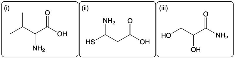 Three molecular structures labeled (i), (ii), and (iii) related to α-amino acids.