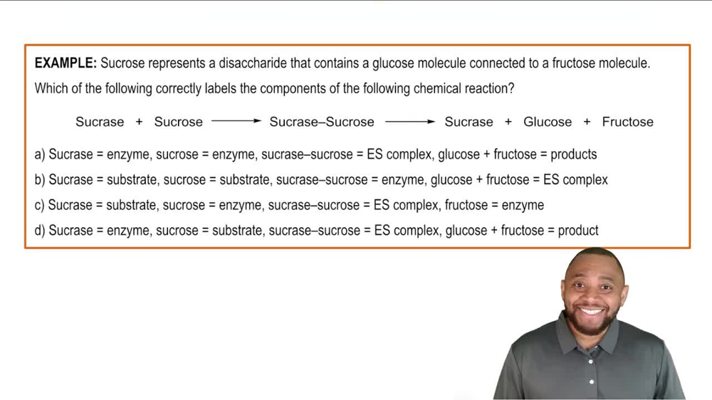 Enzyme-Substrate Complex Example 1