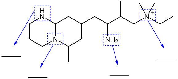 amine structure
