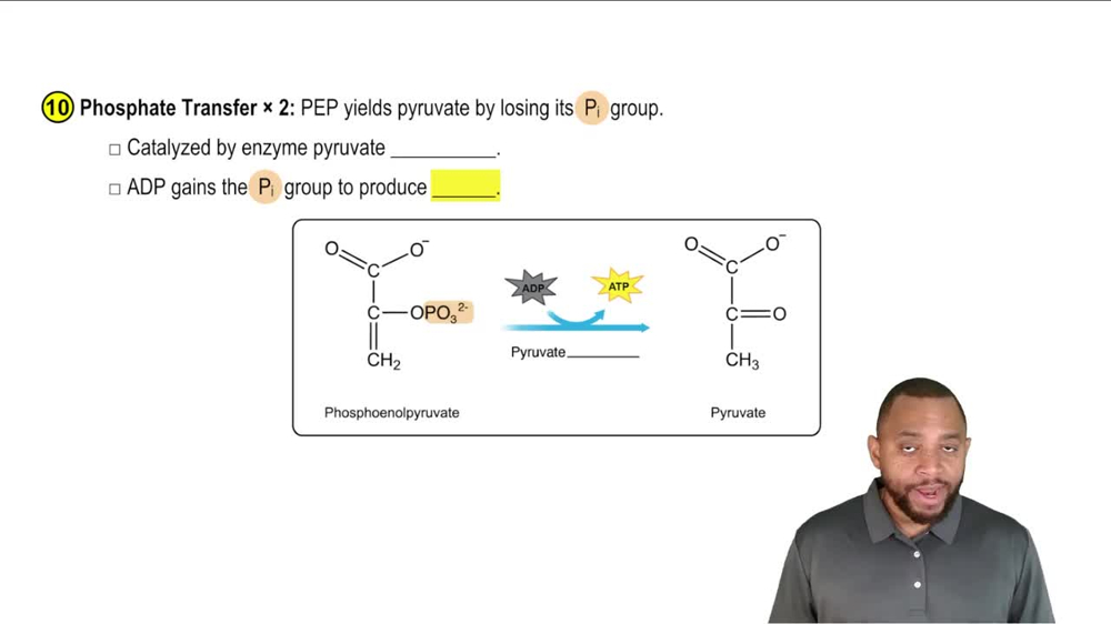 Glycolysis Concept 11