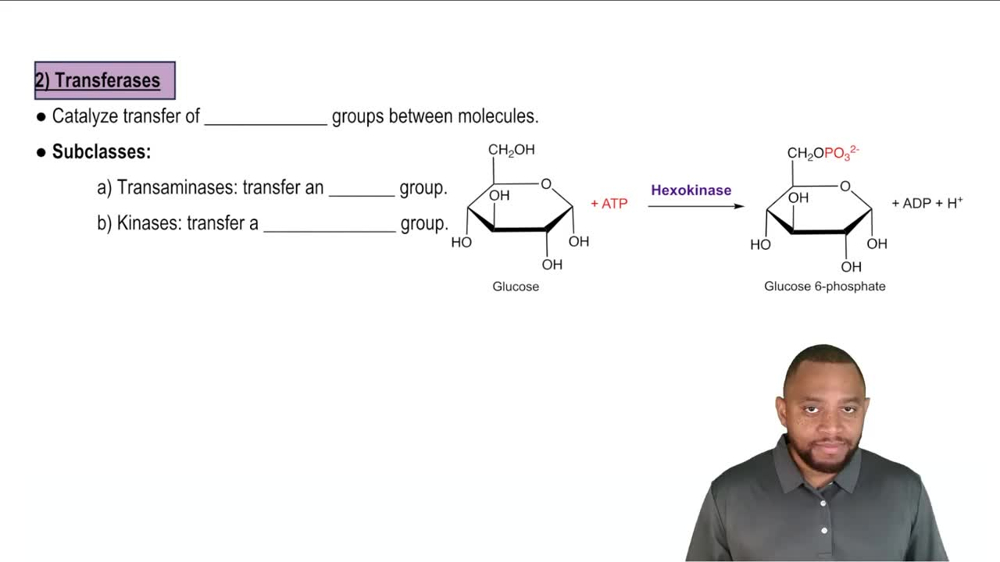 Transferases Concept 5