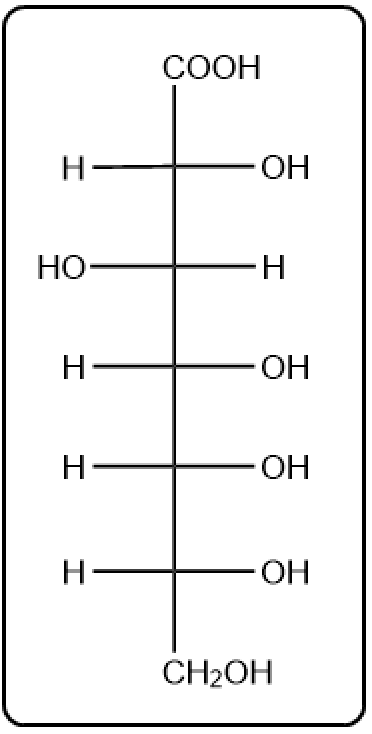 Another structure of a seven-carbon sugar with a carboxylic acid group.