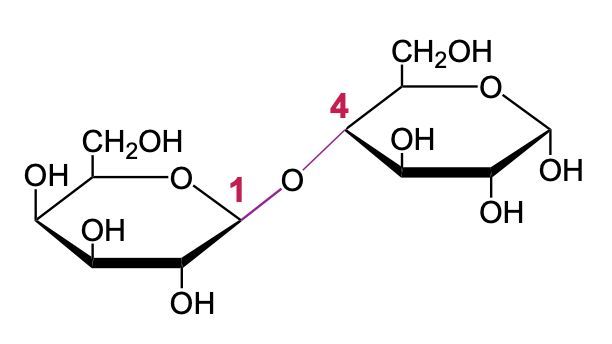 disaccharide structure