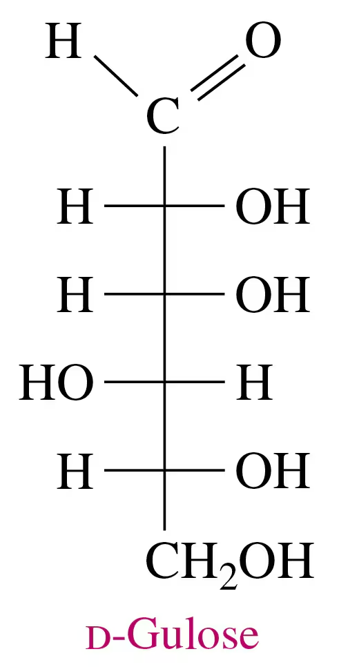 Haworth structure of d-gulose, a sweet syrup, showing its cyclic monosaccharide form.