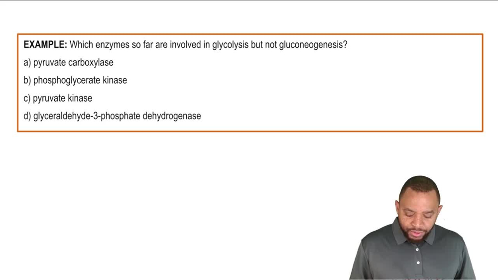 Gluconeogenesis Example 2