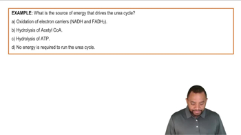 Intro to Urea Cycle Example 1