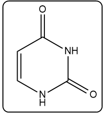 Chemical structure of cytosine, a nitrogenous base in DNA.