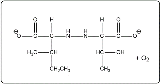 Peptide bond formation with oxygen gas as a product.
