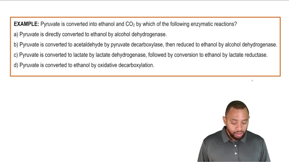 Anaerobic Respiration Example 2