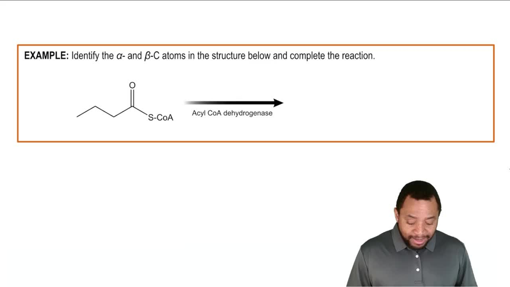 Oxidation of Fatty Acids Example 2