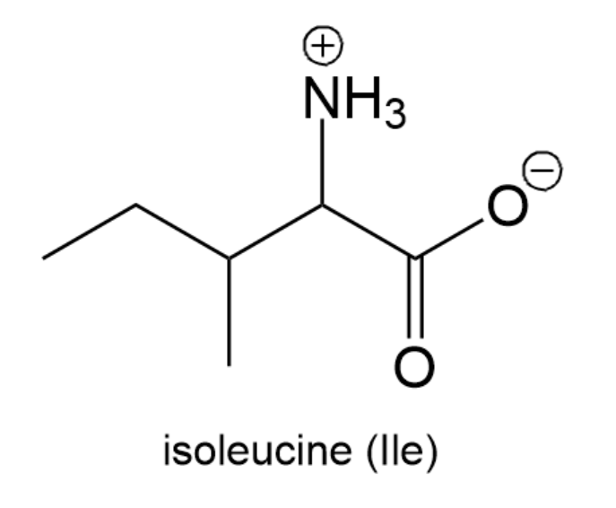 <IMAGE>