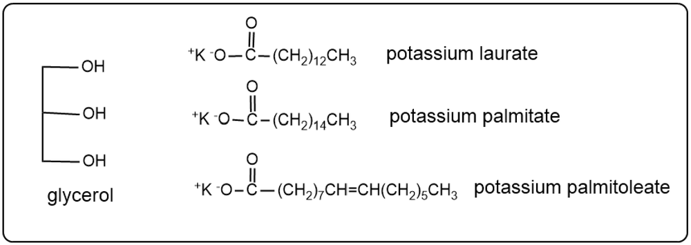 Products of saponification with potassium ions: laurate, palmitate, and palmitoleate.