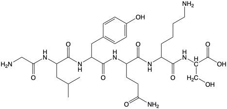 Chemical structure of a peptide showing amino acids for N-terminal and C-terminal identification.