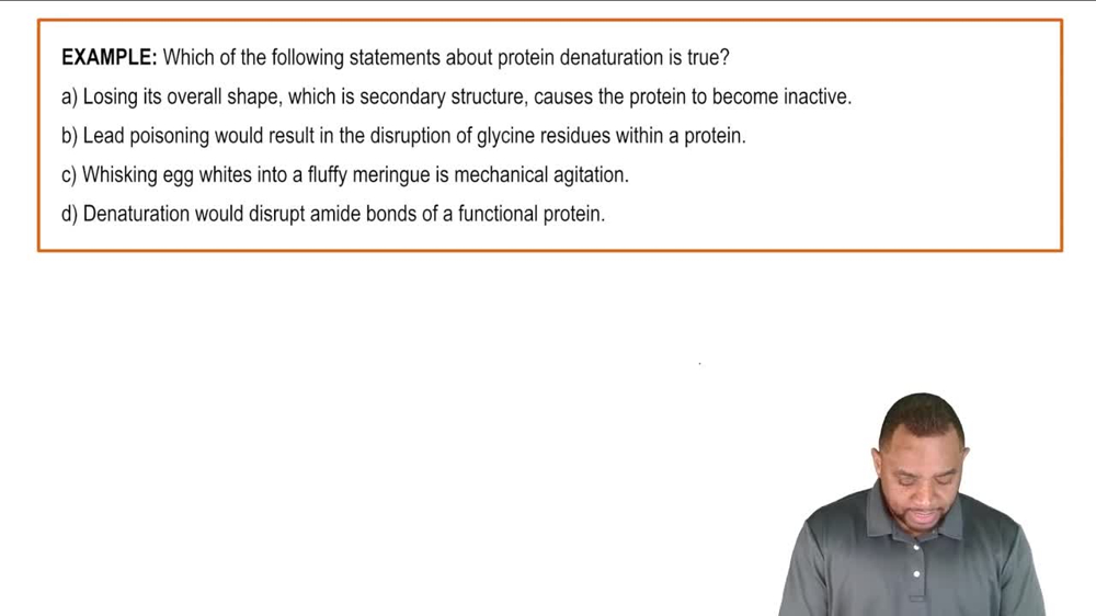 Protein Denaturation Example 1