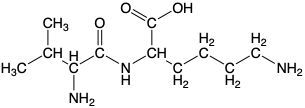 Chemical structure of a peptide with amino acids and bonds marked.