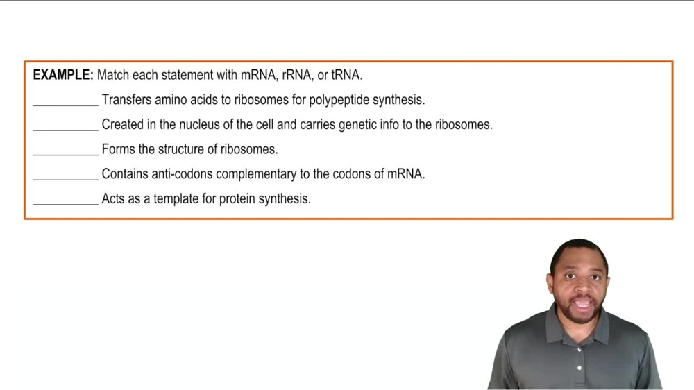 Types of RNA Example 1