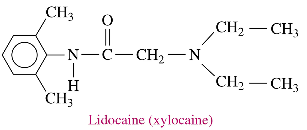 Condensed structural formula of lidocaine, labeled as "Lidocaine (xylocaine)" in pink text.