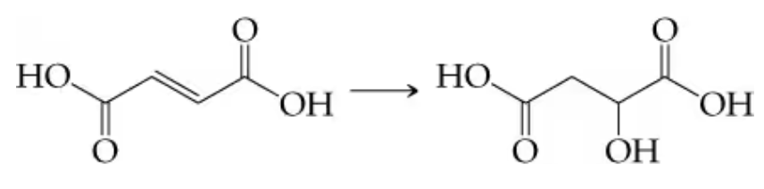 Chemical reaction showing the conversion of fumaric acid to malic acid with structural formulas and bonds illustrated.