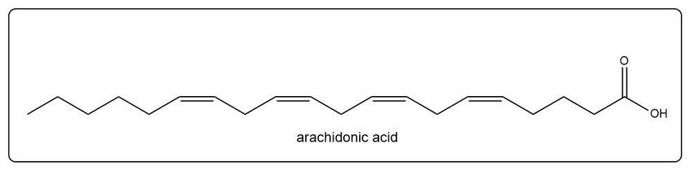 Chemical structure of arachidonic acid, an unsaturated fatty acid.