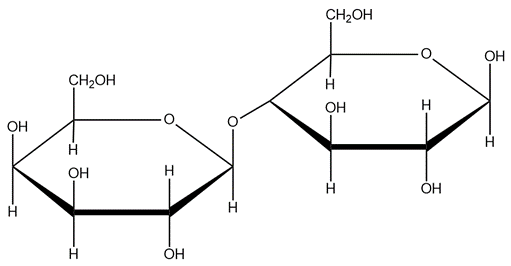 Chemical structure of lactose, a disaccharide made of glucose and galactose.