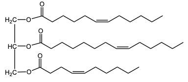 triacylglycerol