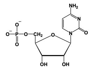 nucleotide