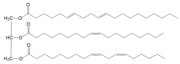 Chemical structure of triacylglycerol showing double bonds for hydrogenation reactions.