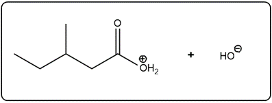 Line-angle structure showing a carboxylic acid with a protonated hydroxyl group.
