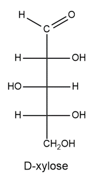 Structure of D-xylose, a pentose monosaccharide, showing its linear form.
