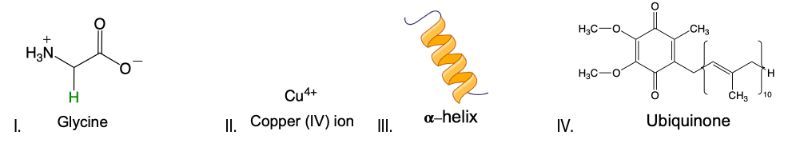 Glycine, copper ion, alpha-helix, ubiquinone