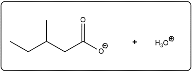Line-angle structure of a carboxylic acid reacting with hydronium ion.