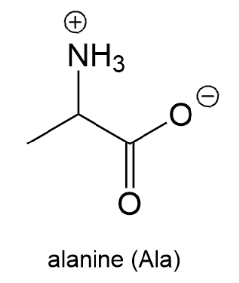 <IMAGE>