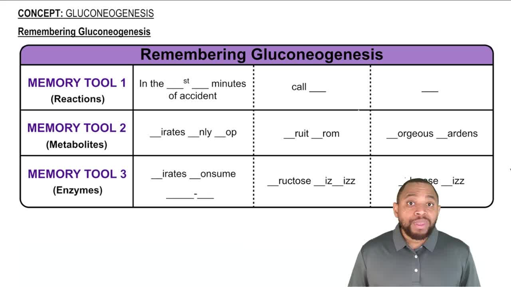 Gluconeogenesis Concept 12