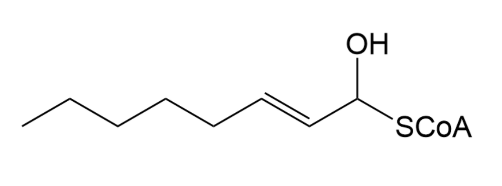<IMAGE>
