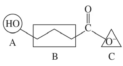 Diagram showing a substrate molecule with labeled regions A, B, and C, illustrating enzyme-substrate interactions.