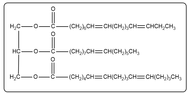Chemical structure of triacylglycerol for hydrogenation reaction analysis.