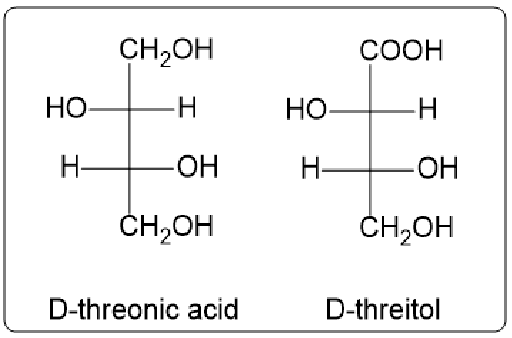 Fischer projections of D-threose reduction products: D-threitol and D-threonic acid.