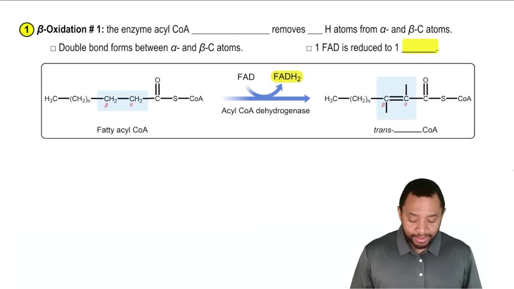 Oxidation of Fatty Acids Concept 4