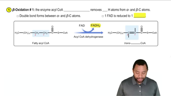 Oxidation of Fatty Acids Concept 4
