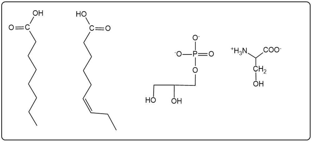 Final products of base hydrolysis of phosphatidylserine with hydroxyl groups.