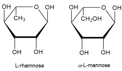 Structural comparison of L-rhamnose and α-L-mannose, highlighting differences in hydroxyl groups.