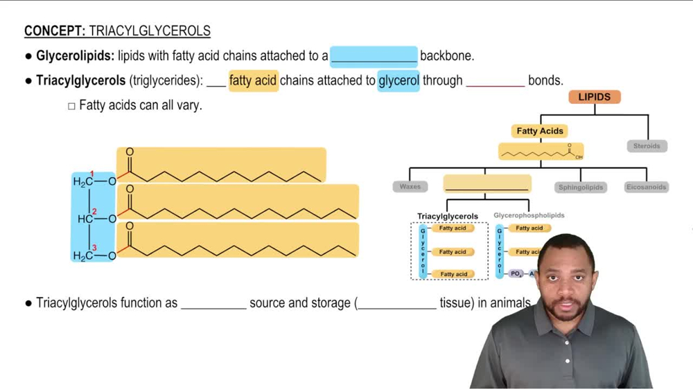 Triacylglycerols Concept 1