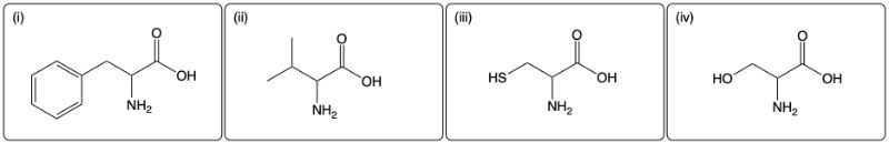 Four α-amino acids with different side chains: aromatic, alkyl, sulfur, and hydroxyl groups.