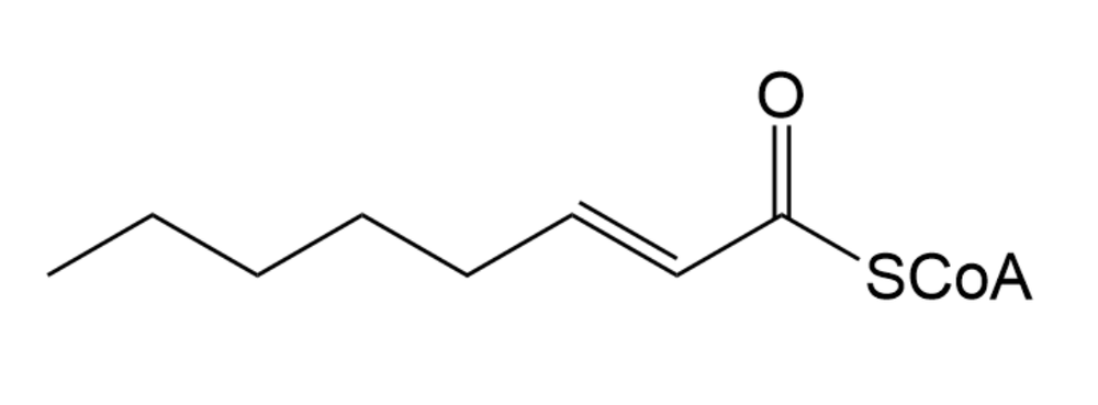 <IMAGE>