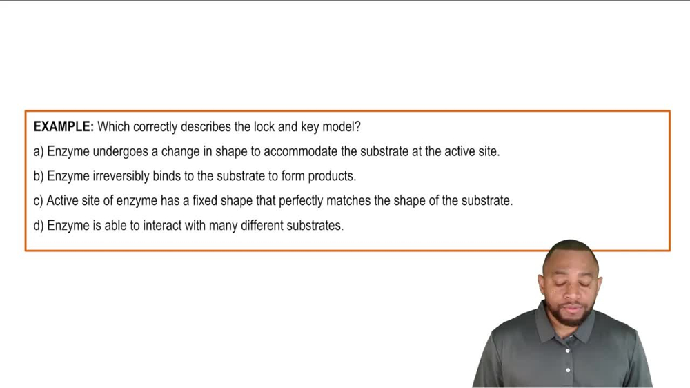 Models of Enzyme Action Example 1