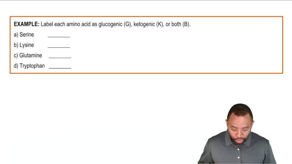 Amino Acid Catabolism: Carbon Atoms Example 1