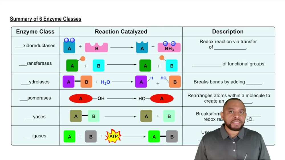 Summary of 6 Enzyme Classes Concept 10