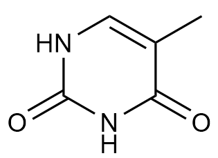 Chemical structure of cytosine, a pyrimidine nitrogenous base.